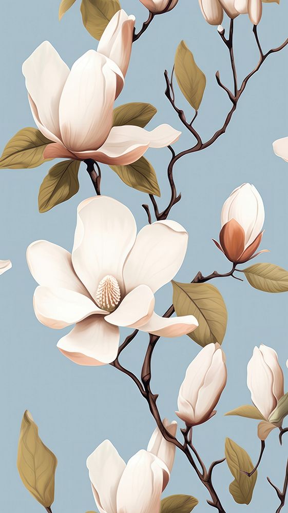 Magnolia flowers backgrounds blossom pattern.
