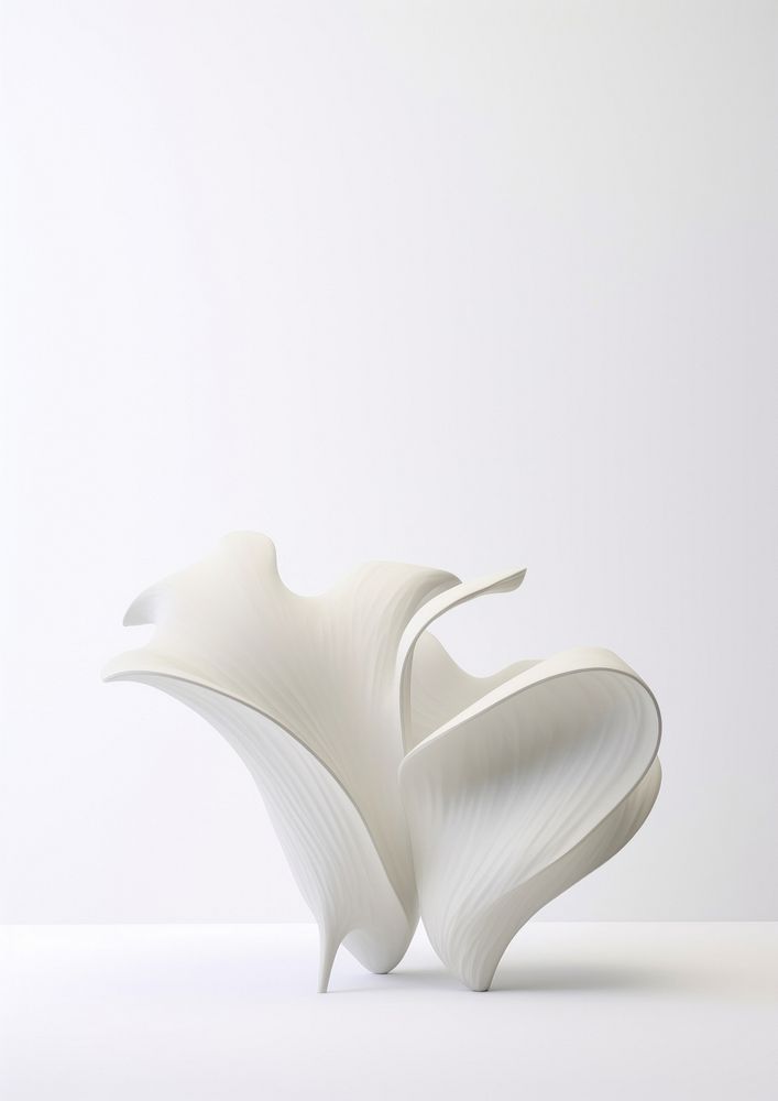 A white shell decolation furniture art simplicity.