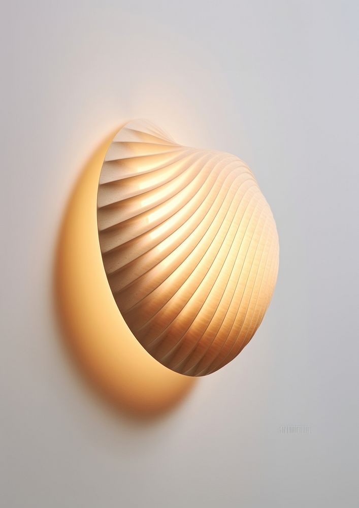 A wood shell wall light lighting lamp invertebrate.