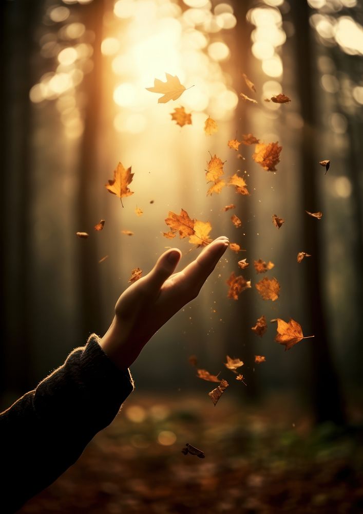 A hand of a boy reach to several autumn tree leaves that fall down photography sunlight forest. AI generated Image by…