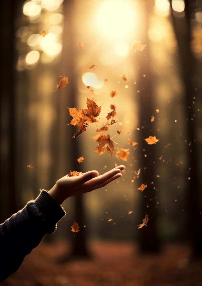 A hand of a boy reach to several autumn tree leaves that fall down photography sunlight outdoors. AI generated Image by…