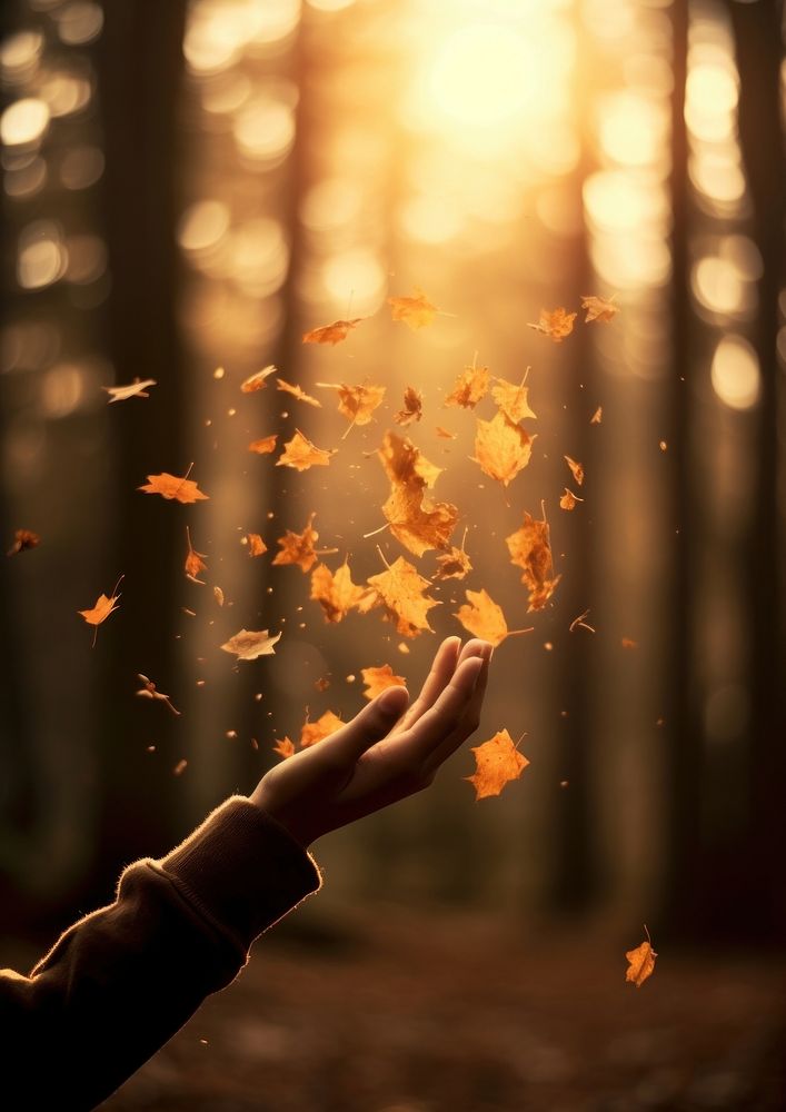 A hand of a boy reach to several autumn tree leaves that fall down sunlight forest plant. AI generated Image by rawpixel.