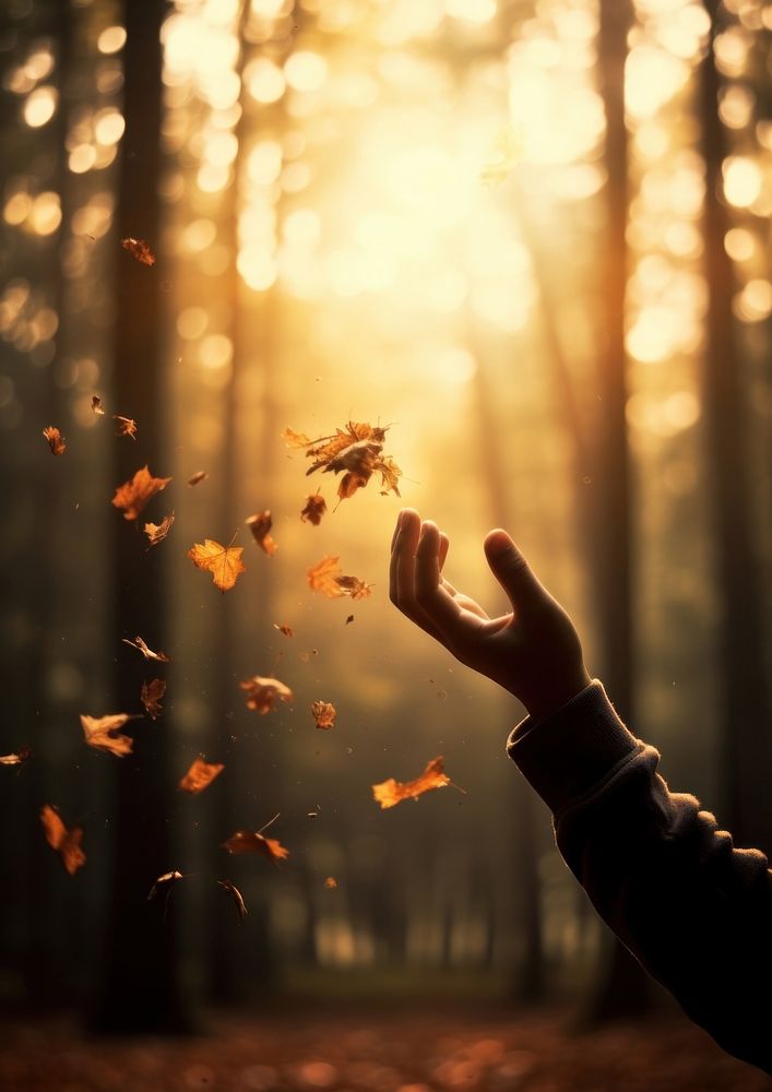 A hand of a boy reach to several autumn tree leaves that fall down photography sunlight forest. AI generated Image by…