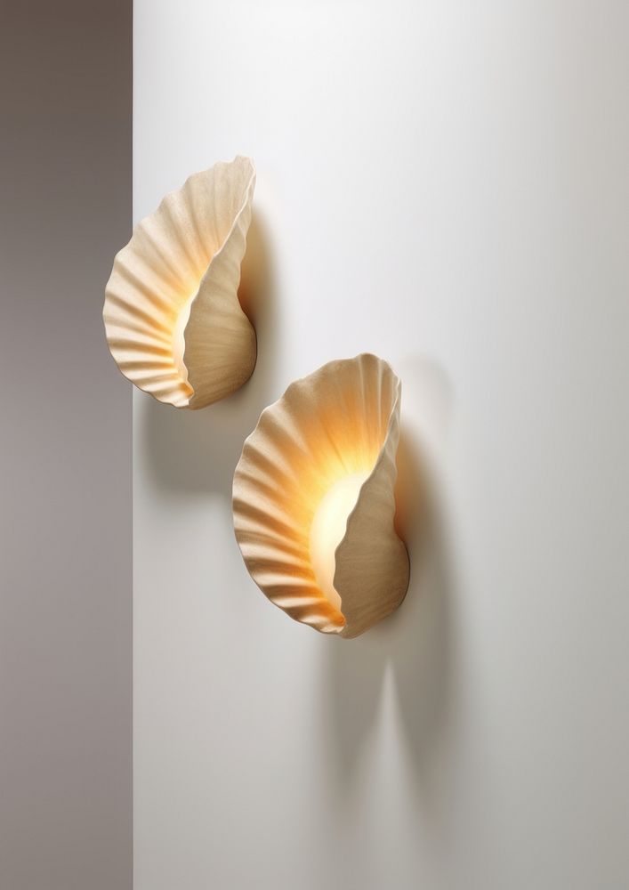 A pair organic shell wall light invertebrate lighting seashell.