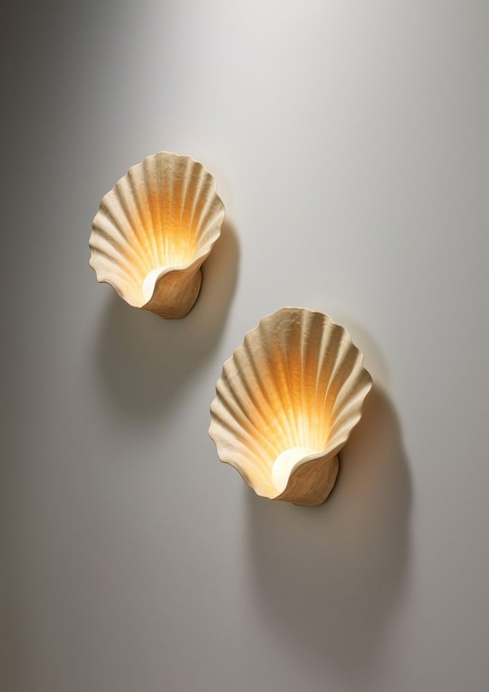 A pair organic shell wall light invertebrate illuminated darkness.
