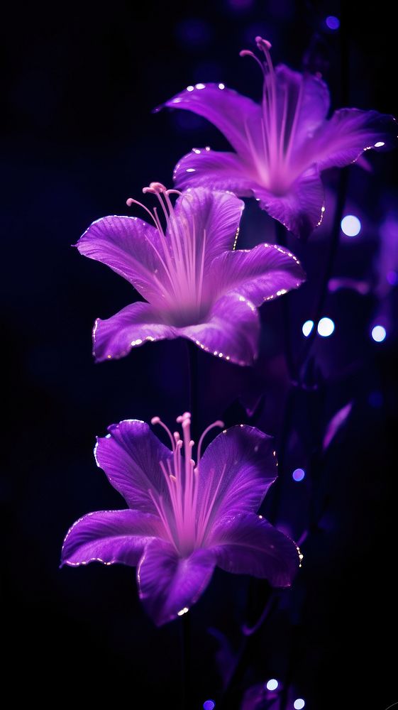  A purple light flower blossom petal plant. AI generated Image by rawpixel.