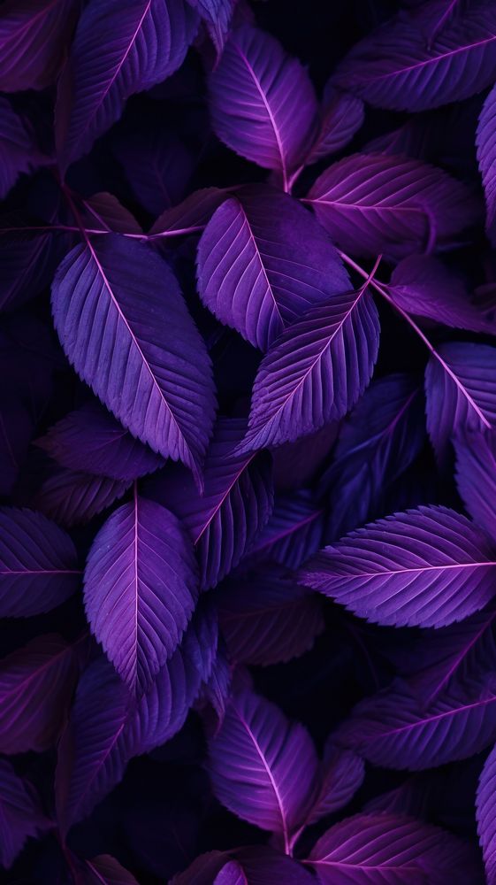  Leaves background backgrounds purple plant. AI generated Image by rawpixel.
