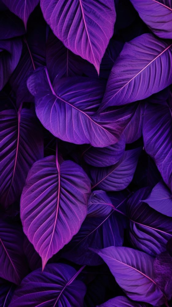  Leaves background backgrounds purple abundance. AI generated Image by rawpixel.