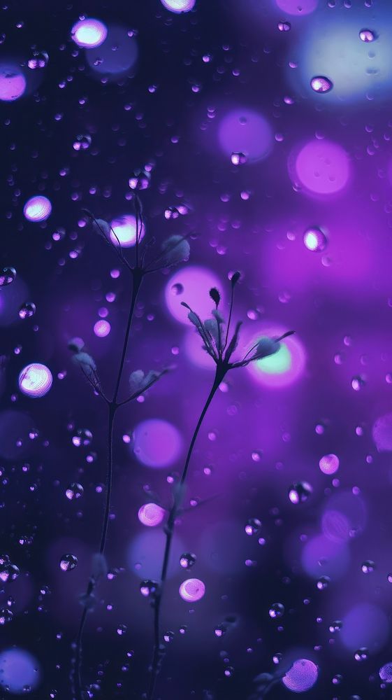  Purple bokeh light backgrounds reflection fragility. AI generated Image by rawpixel.