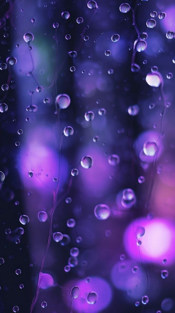  Purple bokeh light transparent backgrounds reflection. AI generated Image by rawpixel.