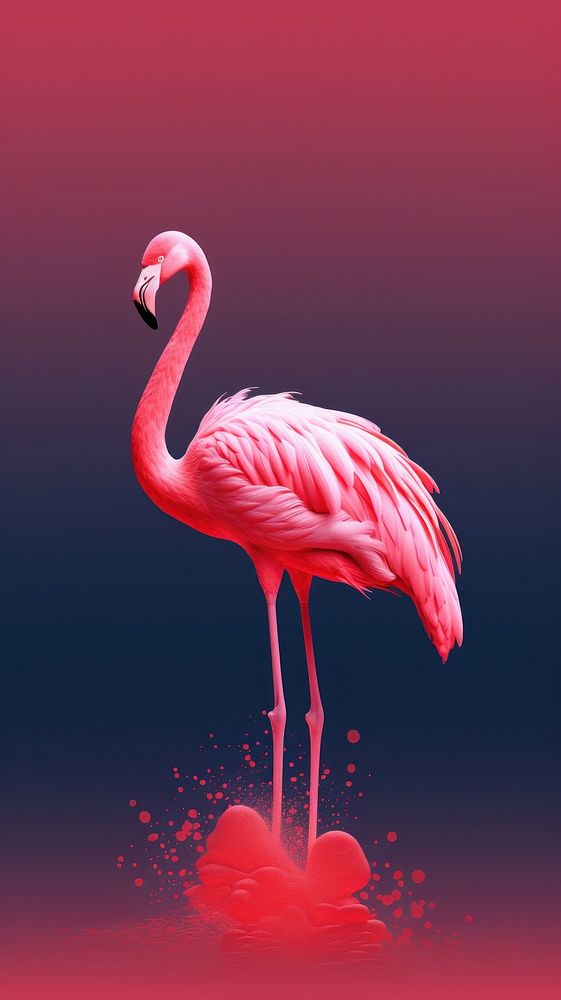 3d illustration of a flamingo animal bird wildlife.