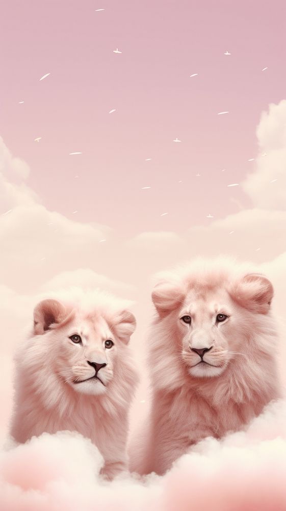 Cute 2 lions outdoors mammal animal.