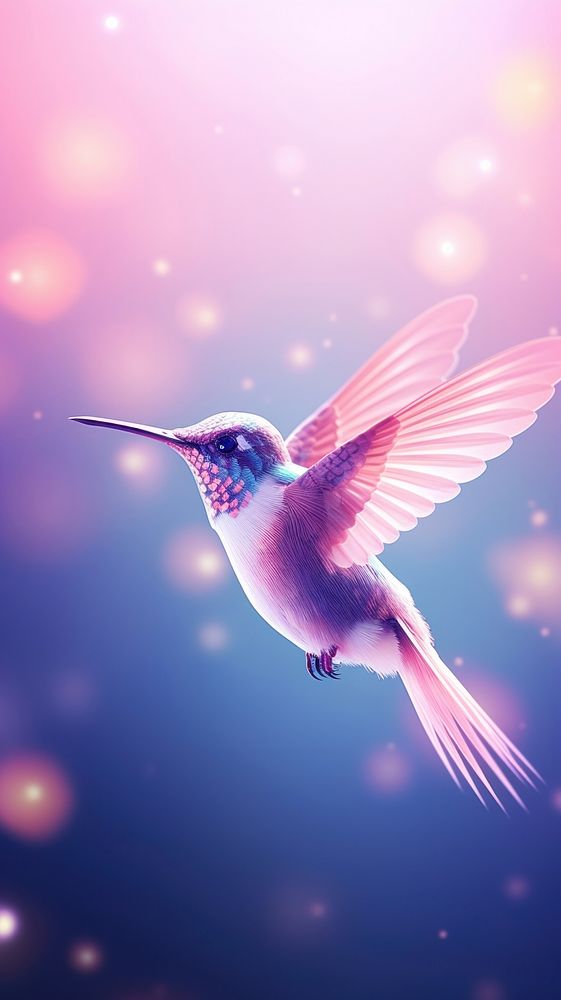 Cute hummingbird animal purple flying.