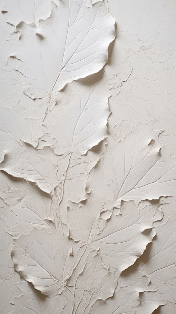 Leaves wall plaster white. AI generated Image by rawpixel.