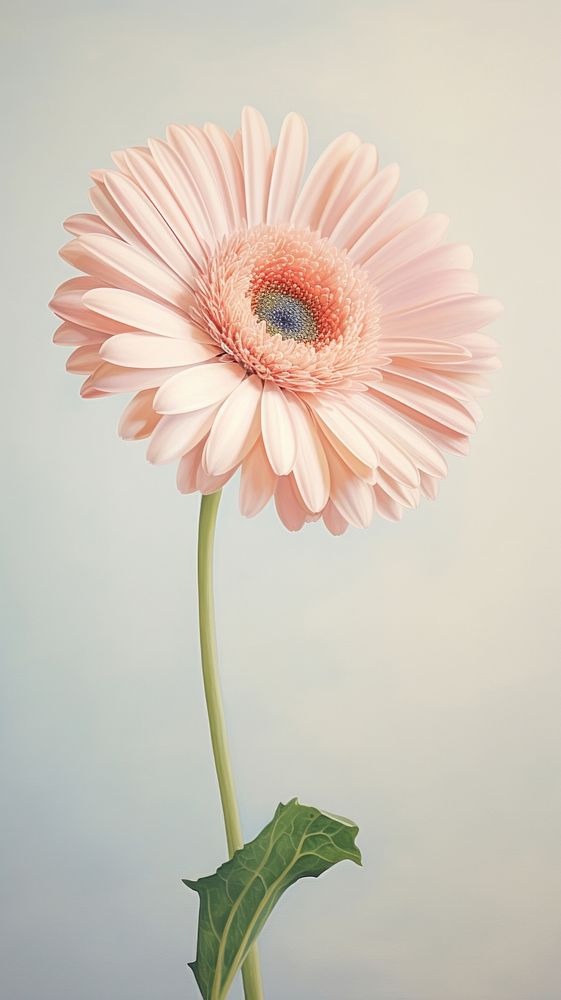  Gerbera flower pattern petal plant daisy. AI generated Image by rawpixel.