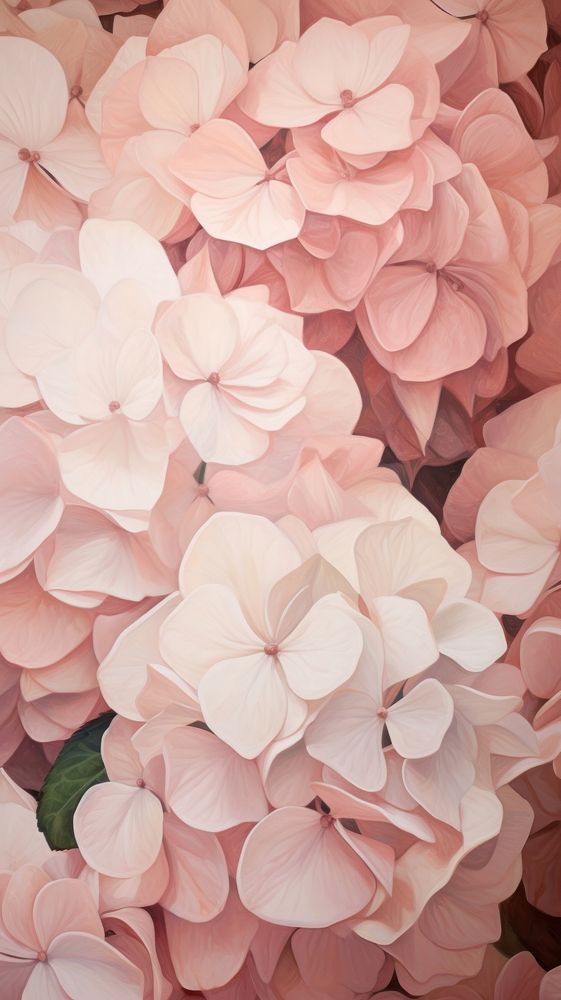  Hydrangea flower petal pattern backgrounds plant inflorescence. AI generated Image by rawpixel.