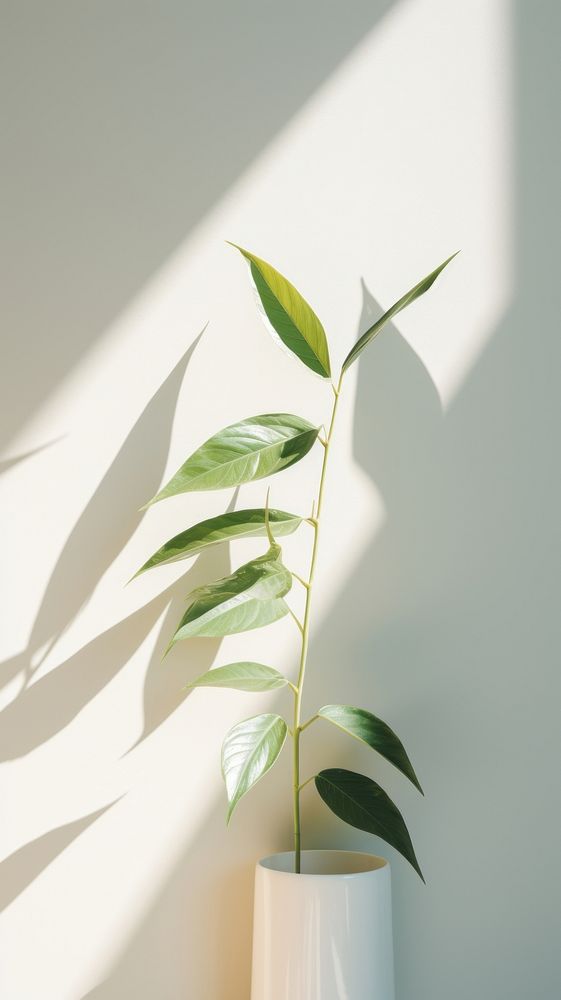  Close up green leaves shadow plant leaf. AI generated Image by rawpixel.