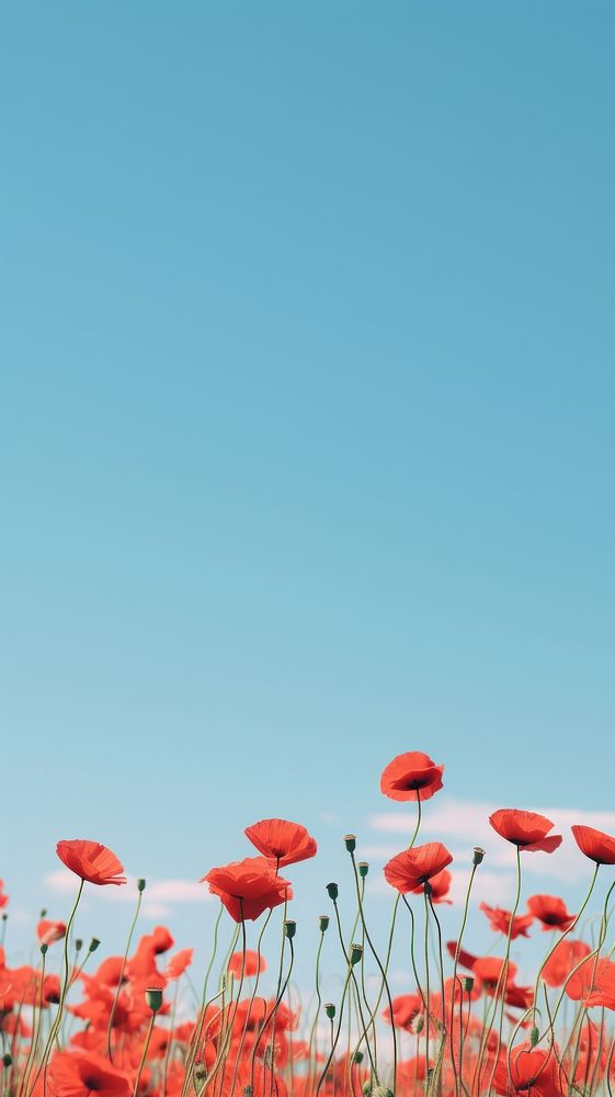 Flower fields sky outdoors nature. AI generated Image by rawpixel.