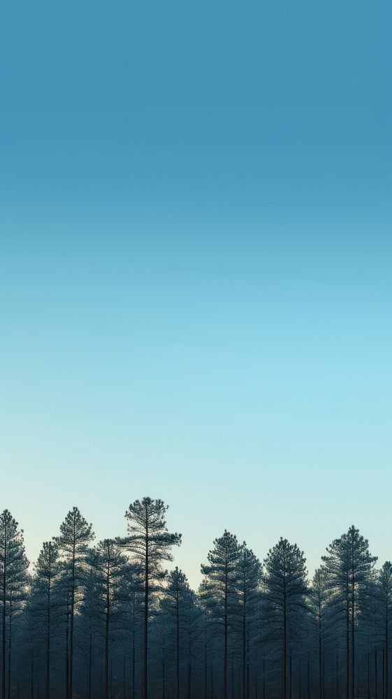  Forest sky outdoors nature. AI generated Image by rawpixel.