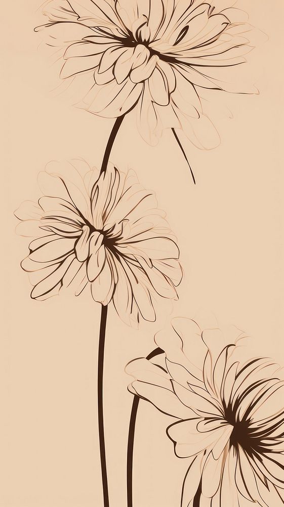  Gerbera flower pattern sketch drawing plant. AI generated Image by rawpixel.
