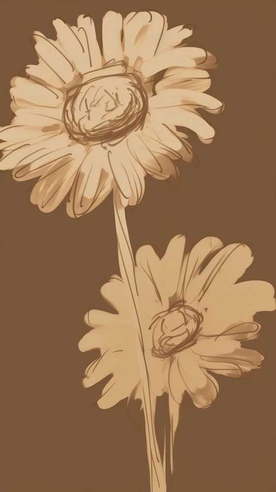  Gerbera flower pattern sketch drawing petal. AI generated Image by rawpixel.