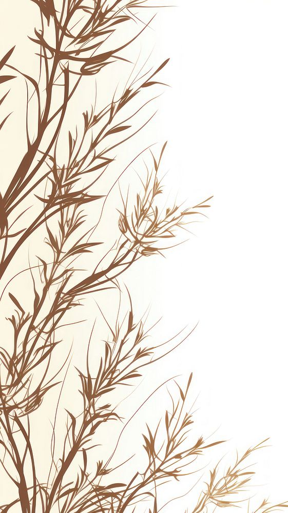  Rosemary bushes pattern sketch backgrounds drawing. AI generated Image by rawpixel.