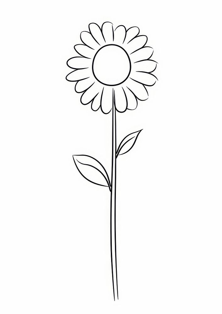 Sunflower sketch drawing plant.