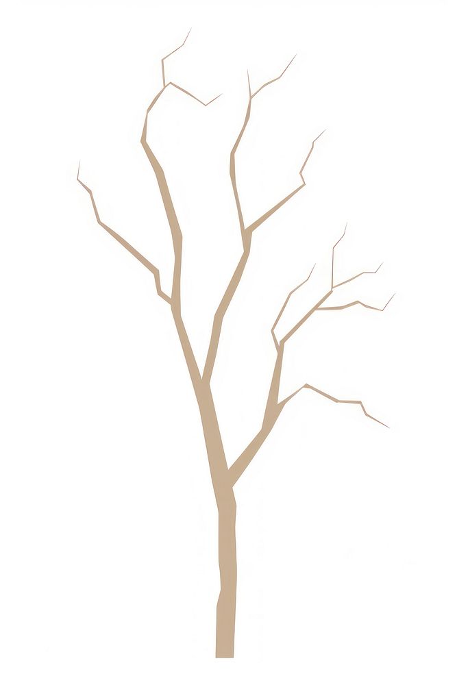 Dried tree drawing sketch plant.