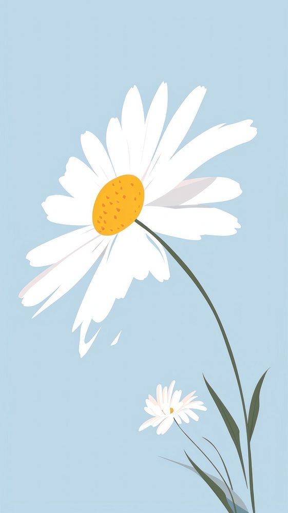 Cute daisy illustration flower petal plant.