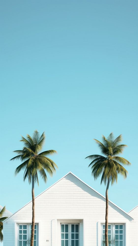 Beach houses tree sky architecture.