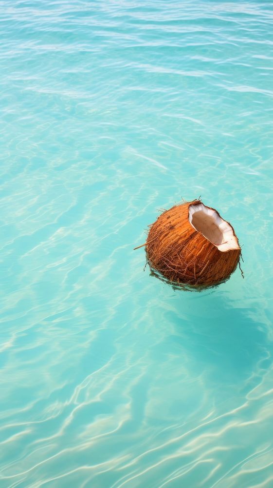 Tropical coconuts floating beach day.