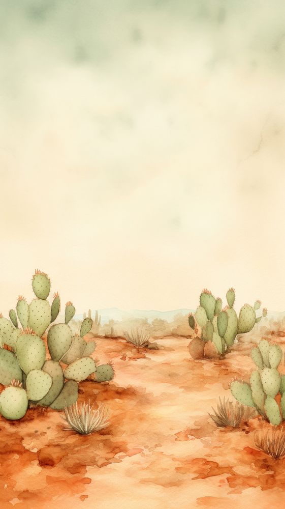 Cactus desert backgrounds landscape.