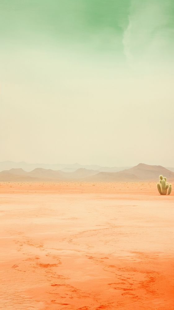 Cactus landscape outdoors horizon.