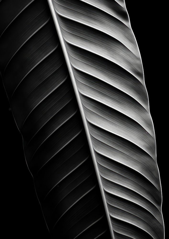 A banana leaf black backgrounds accessories.
