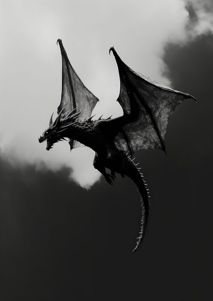 A dragon flying on the sky animal black silhouette.