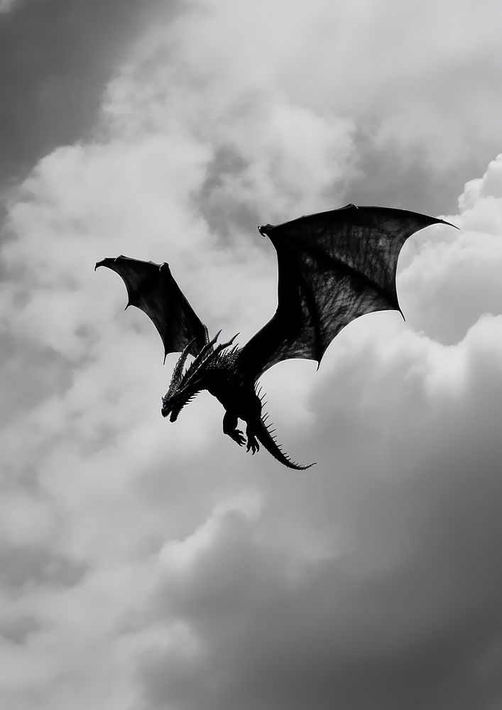 A dragon flying on the sky animal black monochrome.