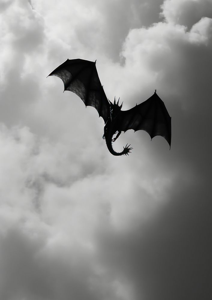 A dragon flying on the sky black silhouette monochrome.