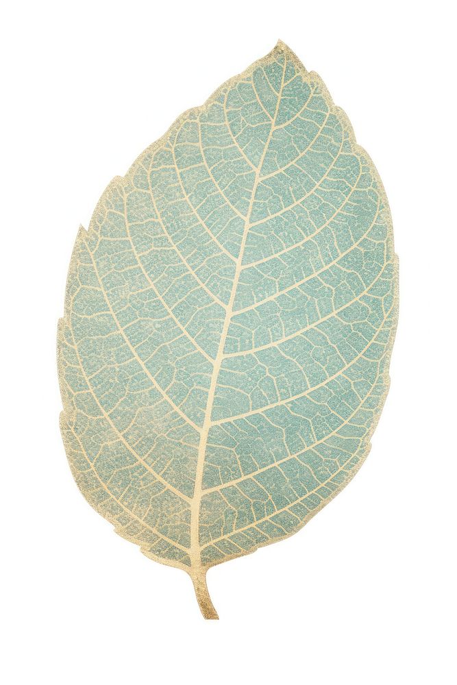 A tree leaf plant white background pattern.