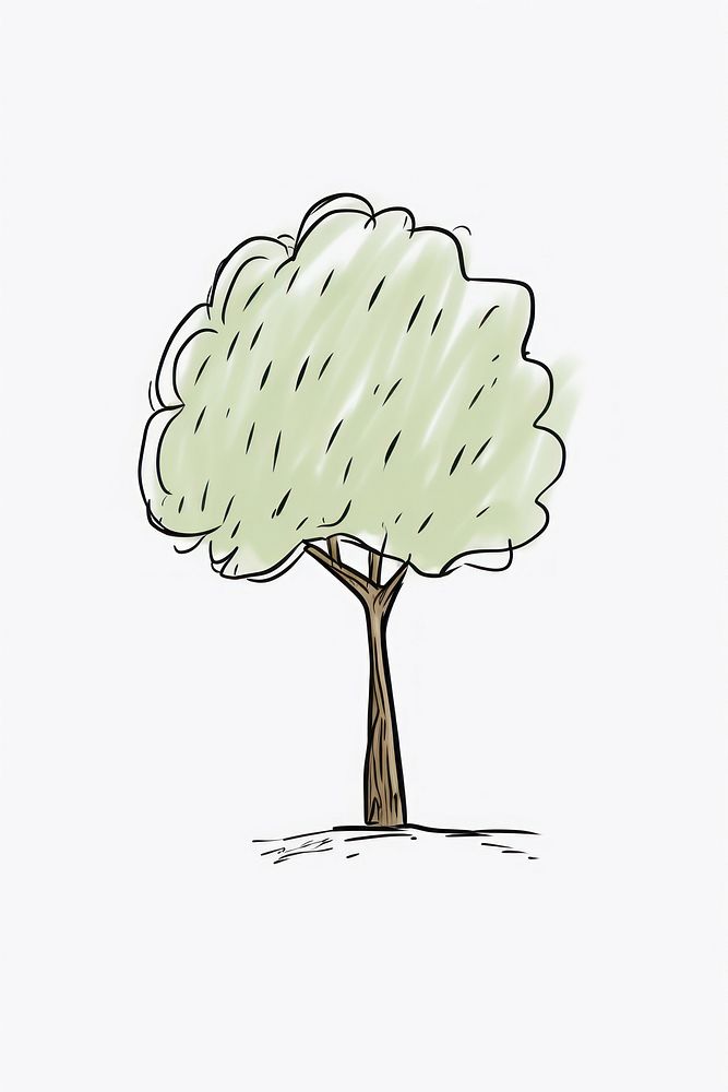 A tree outdoors drawing sketch.
