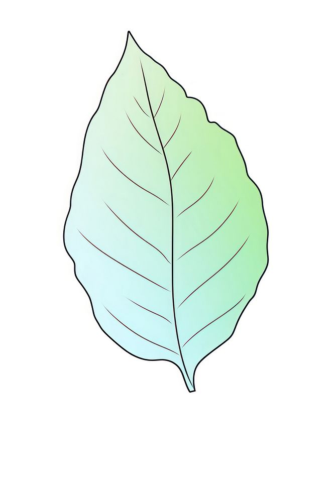 Tree leaf plant line xanthosoma.