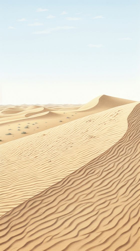 Illustration of a desert with camelse landscape outdoors horizon.