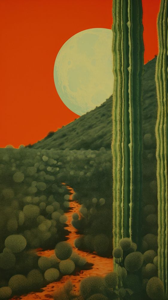 Desert cactus field landscape outdoors nature.