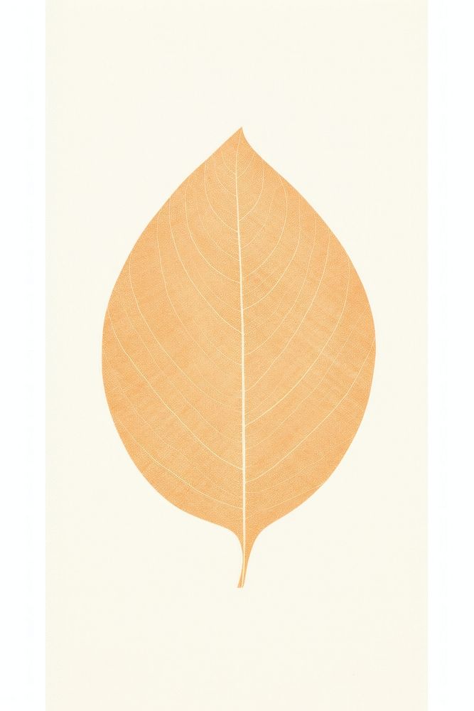 Tree leaf plant white background pattern.