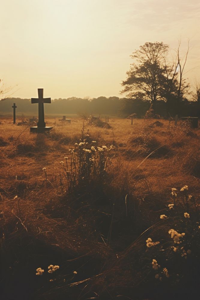 Grave outdoors cemetery nature. AI generated Image by rawpixel.