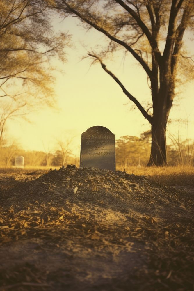 Grave tombstone outdoors cemetery. AI generated Image by rawpixel.