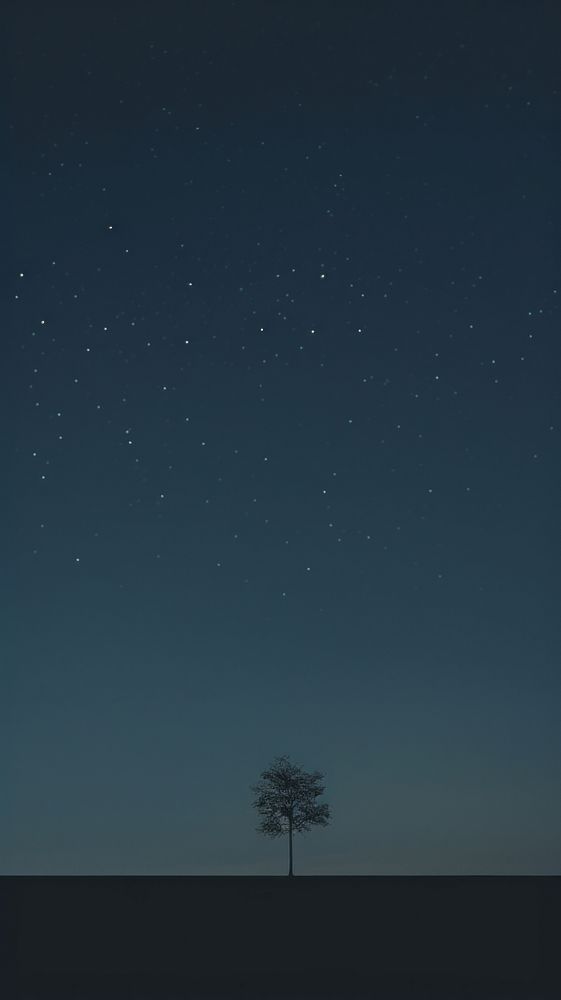 Night sky outdoors nature plant. AI generated Image by rawpixel.