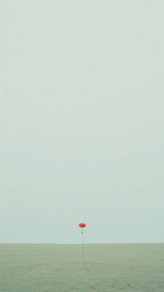 Field of red flower outdoors horizon nature. AI generated Image by rawpixel.