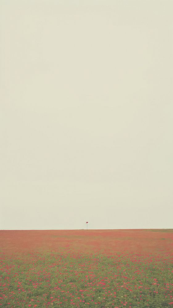 Field of red flower grassland outdoors horizon. AI generated Image by rawpixel.