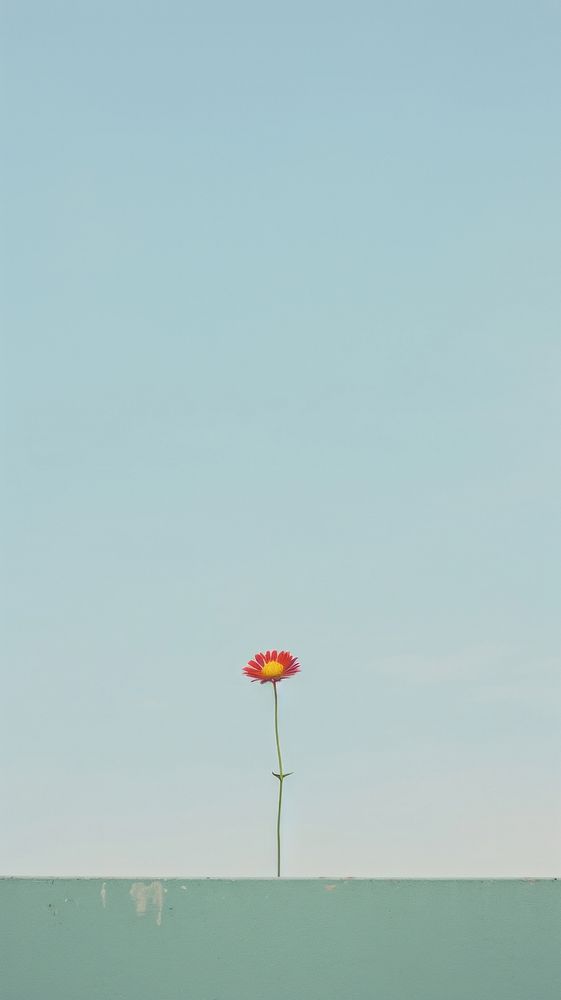Flower and sky outdoors horizon nature. AI generated Image by rawpixel.