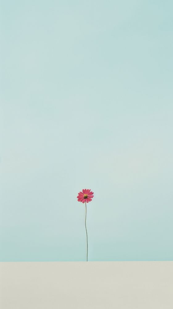 Flower outdoors horizon nature. AI generated Image by rawpixel.